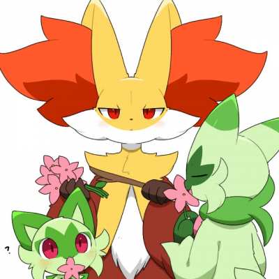 Furry_irl
