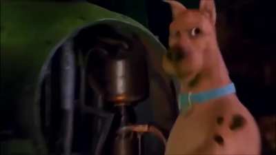 Scooby Dooby Doo