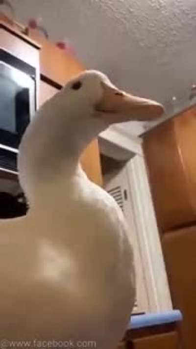 Aaaaaaa~