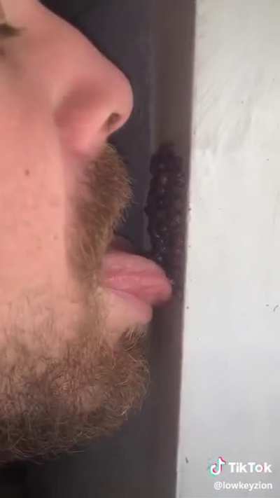Infestation