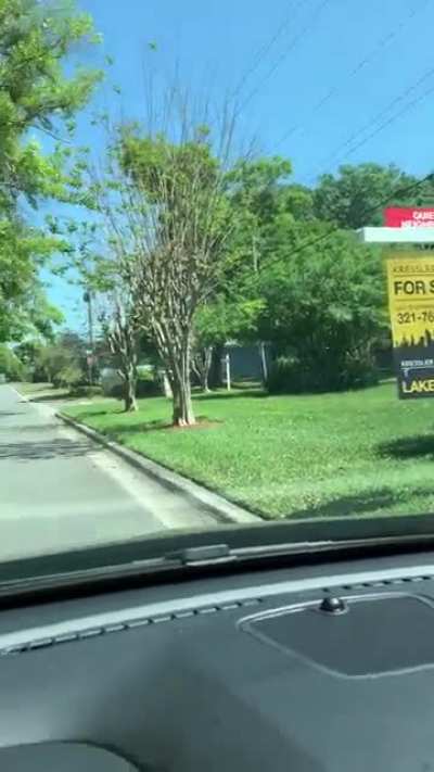 Quiet Neighbors