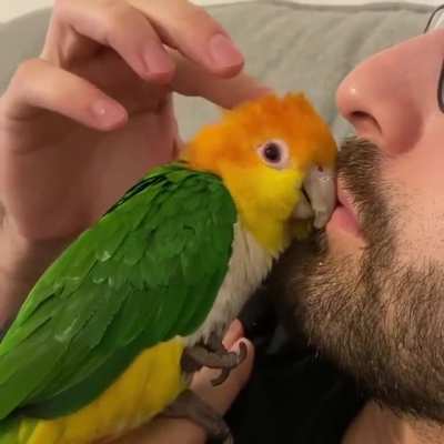 Love 🥰