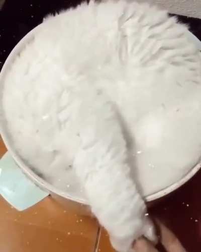 perfect fit