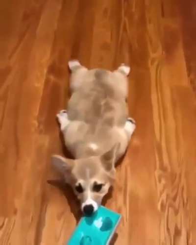Fluffy sweeper