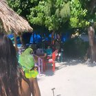 Mi periquito 🥴