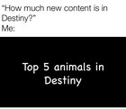 I love my animals