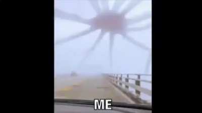 So much curse