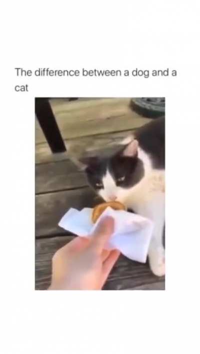 0 hesitation
