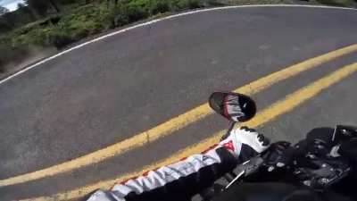 I hit a cow on my Triumph and we both lived to tell the tale