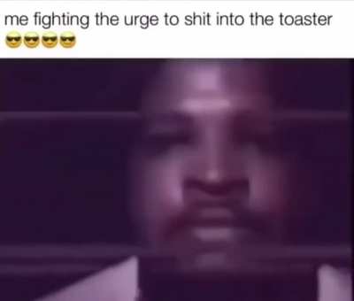 The Fight