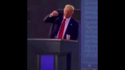 Temporary President