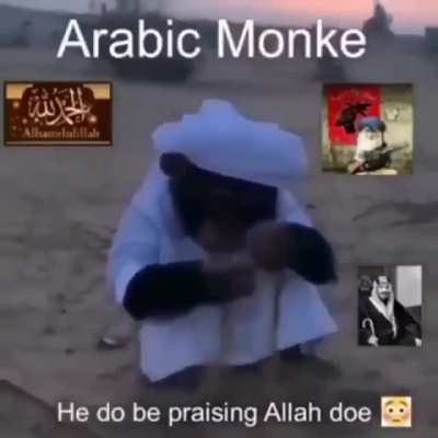 Shalom😳