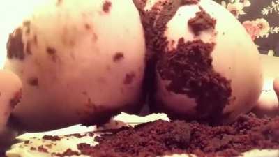 Cake farts