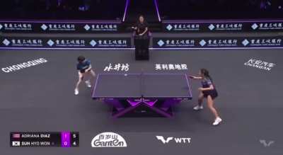 Perfectly cut table tennis