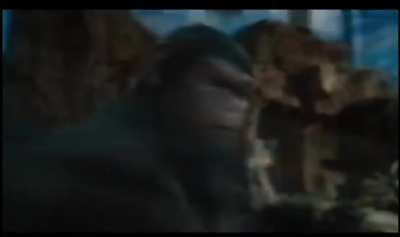 Apes together strong.