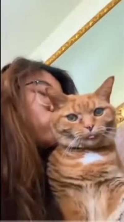 Well the cat wasn’t having it
