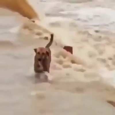 upvote si llorastes con el final inesperado