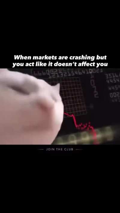 Are you also a long term trader?