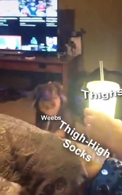 Not a weeb, but I think it's accurate