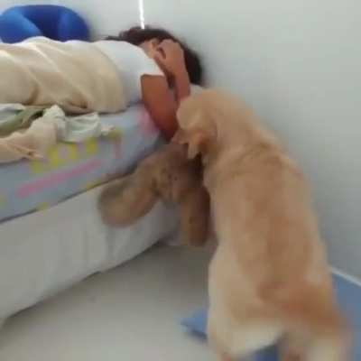 Doggy Alarm