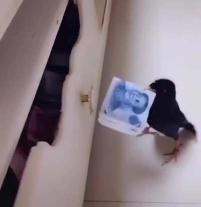 Maybe Maybe Maybe