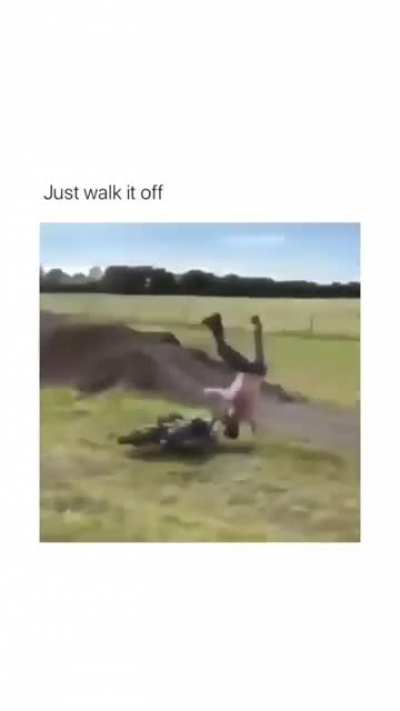 The ending tho 😂