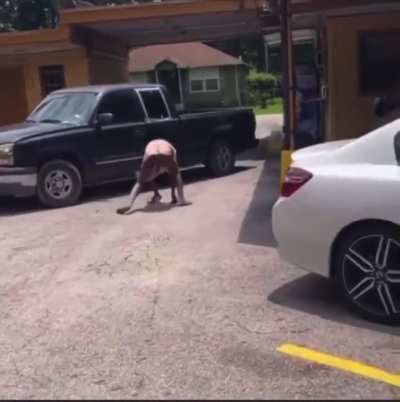 Prostitute steals client’s truck after he refused to pay.