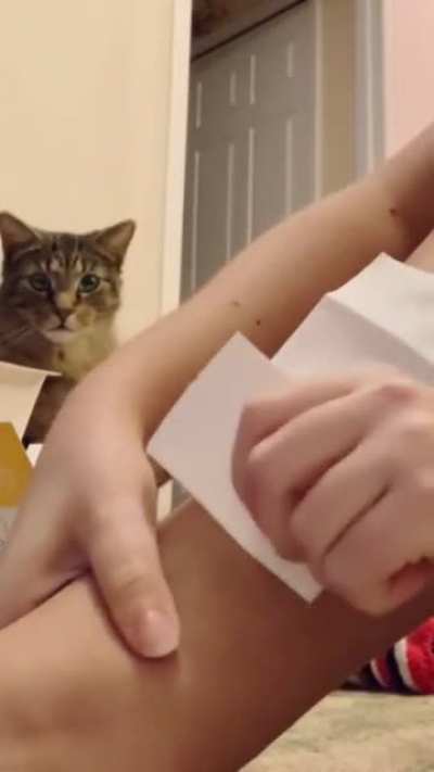 Что ж ты делае<wbr>шь, Наташ?!