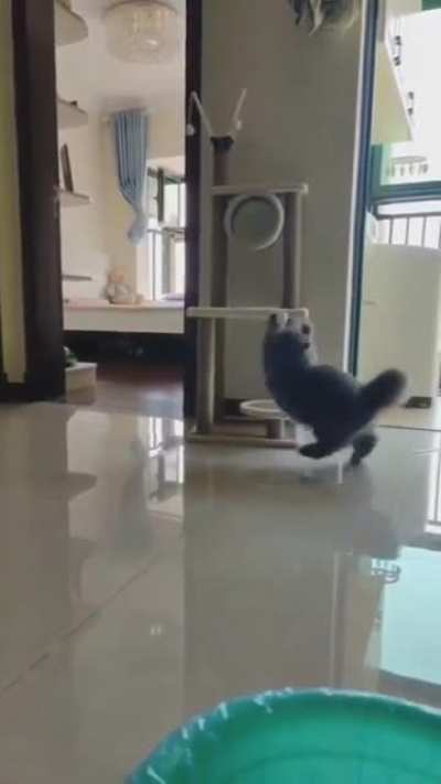 Maybe maybe maybe