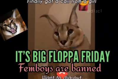 you know what day it is (rule)