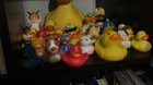 Saying mornin’ to me duckys