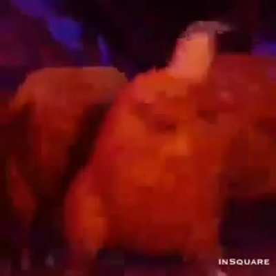 BRUH