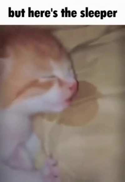 Eppy wunkus wet the bed