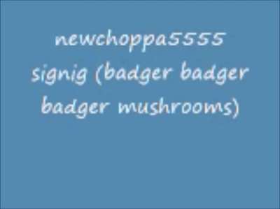 badge badger badegr badger badger badegr badger mushroo m