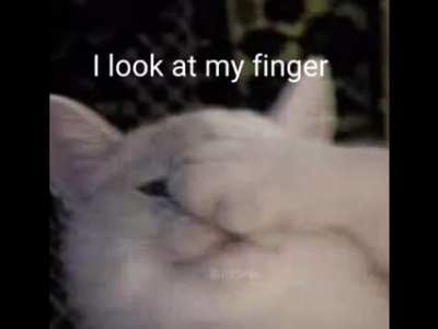 I said why