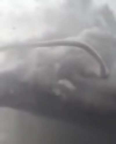 One ticket to Oz please