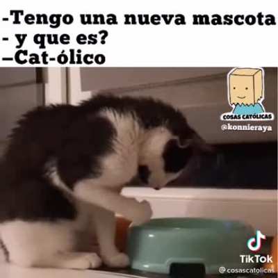 Ah, caray!