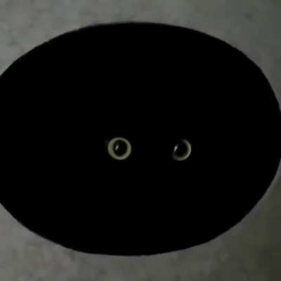 Eyes in the Dark