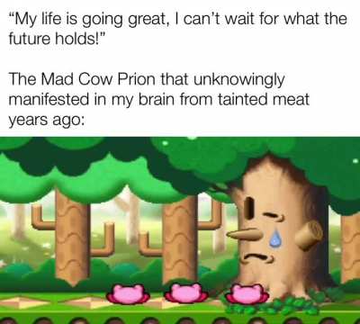 Prion disease