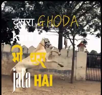 Gyan over ghoda vs jeep!!