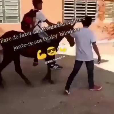 💪😎🍻