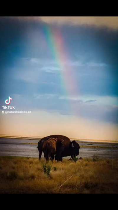 Nature is never boring