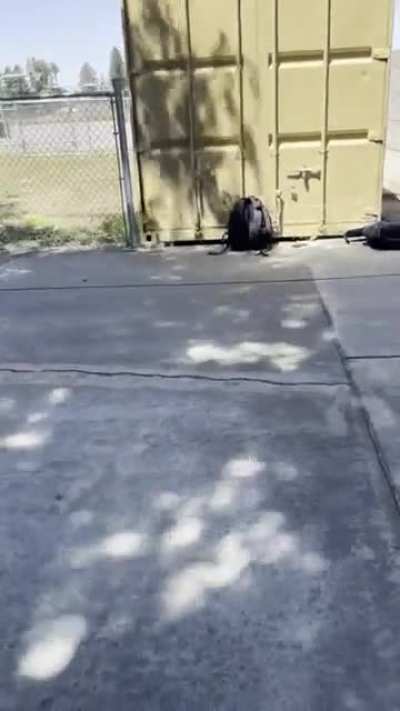 6’3 Polynesian 7th grade boy gets payback from getting hit in the stomach