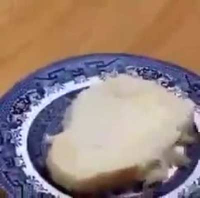 Gorogogogorogorogo