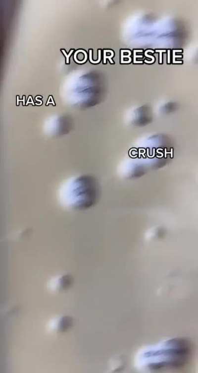 CHEESE of TRUTH!