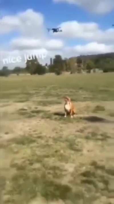 Nice jump