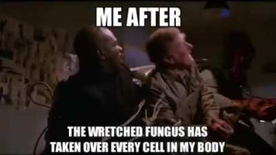 I am now free