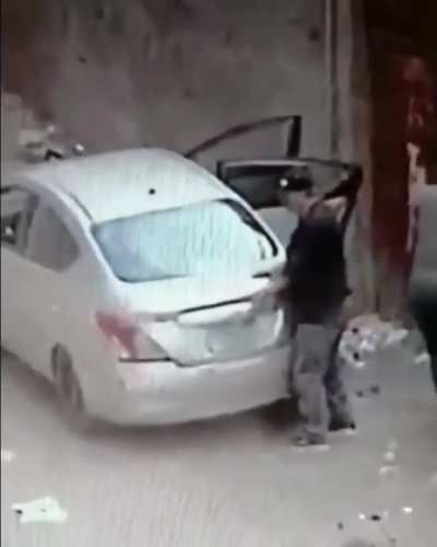 Livestock Thieves in Egypt
