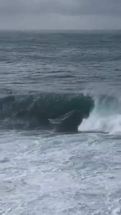 Sydney East Cost swell right now..