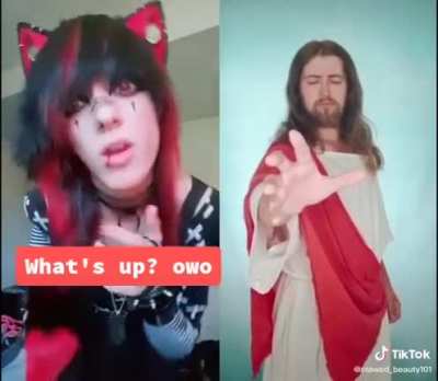 Neko body